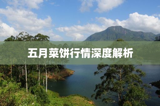 五月菜饼行情深度解析