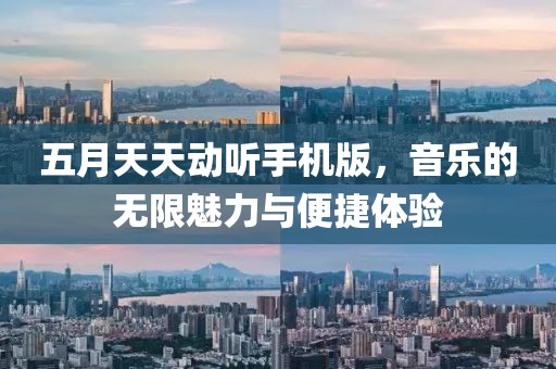 五月天天动听手机版，音乐的无限魅力与便捷体验