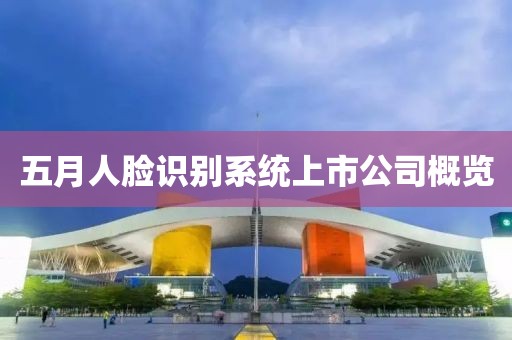 五月人脸识别系统上市公司概览