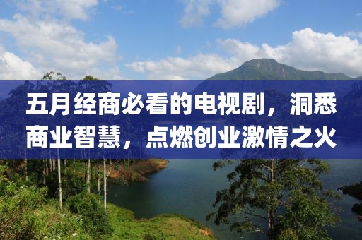 五月经商必看的电视剧，洞悉商业智慧，点燃创业激情之火