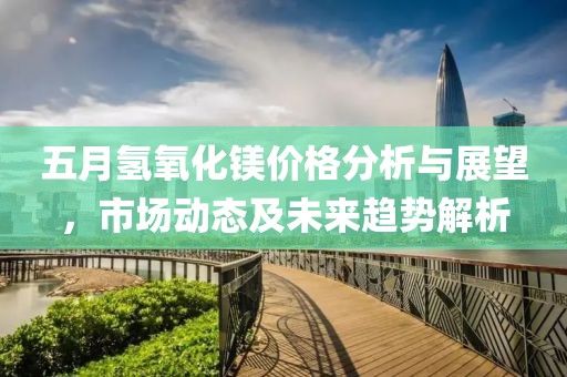 五月氢氧化镁价格分析与展望，市场动态及未来趋势解析