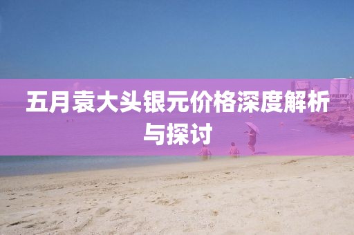 五月袁大头银元价格深度解析与探讨