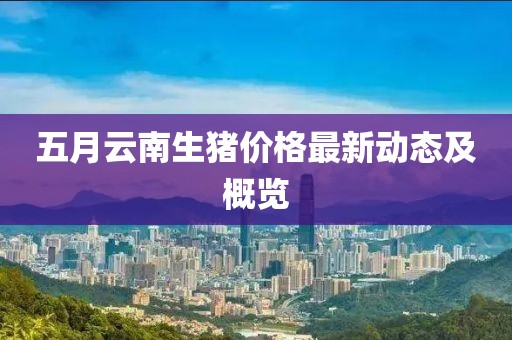 五月云南生猪价格最新动态及概览