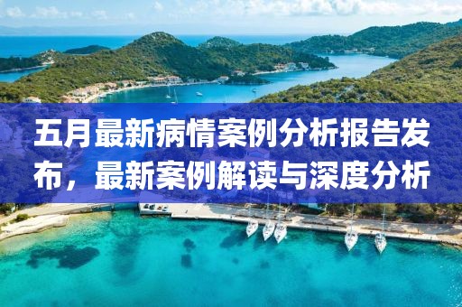 五月最新病情案例分析报告发布，最新案例解读与深度分析