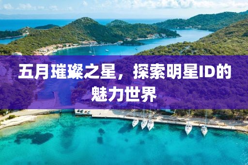 五月璀璨之星，探索明星ID的魅力世界