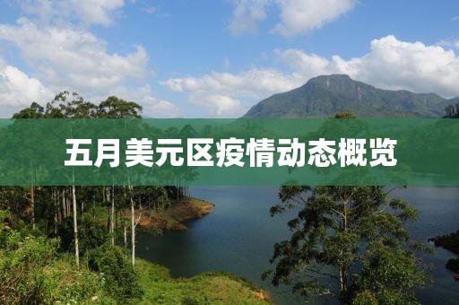 五月美元区疫情动态概览