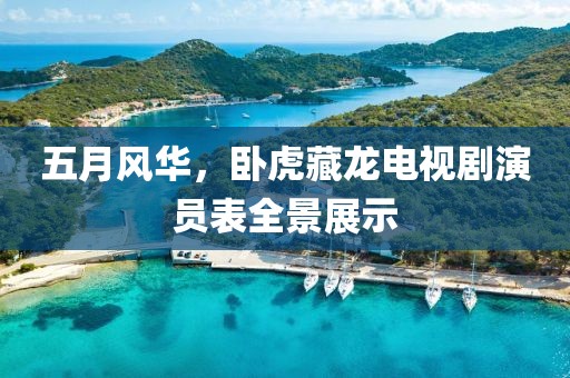 五月风华，卧虎藏龙电视剧演员表全景展示