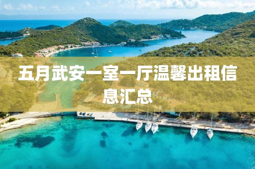 五月武安一室一厅温馨出租信息汇总