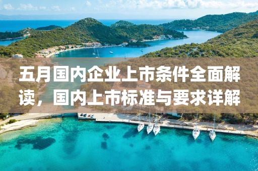 五月国内企业上市条件全面解读，国内上市标准与要求详解