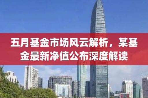 五月基金市场风云解析，某基金最新净值公布深度解读
