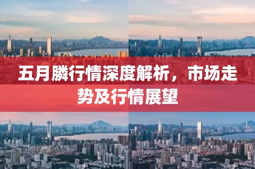 五月膦行情深度解析，市场走势及行情展望