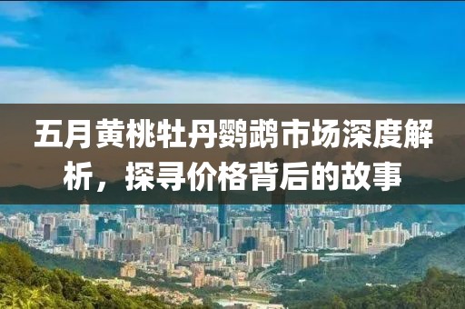 五月黄桃牡丹鹦鹉市场深度解析，探寻价格背后的故事