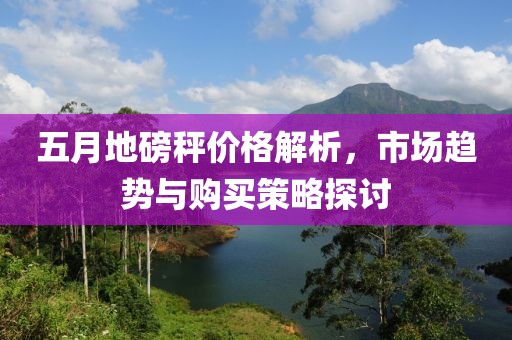 五月地磅秤价格解析，市场趋势与购买策略探讨