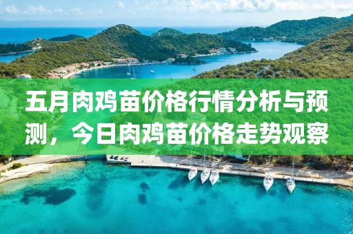 五月肉鸡苗价格行情分析与预测，今日肉鸡苗价格走势观察