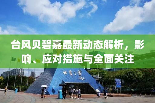台风贝碧嘉最新动态解析，影响、应对措施与全面关注