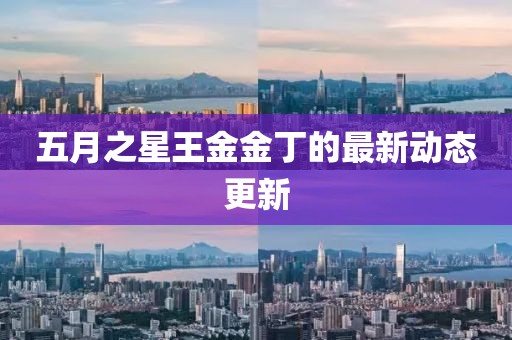 五月之星王金金丁的最新动态更新