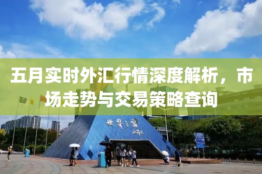 五月实时外汇行情深度解析，市场走势与交易策略查询