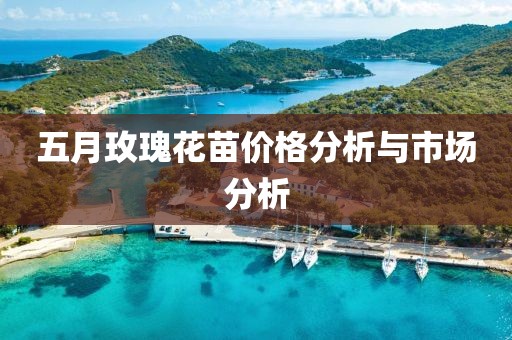 五月玫瑰花苗价格分析与市场分析