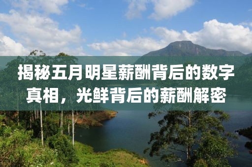 揭秘五月明星薪酬背后的数字真相，光鲜背后的薪酬解密