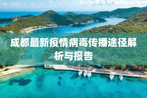 成都最新疫情病毒传播途径解析与报告