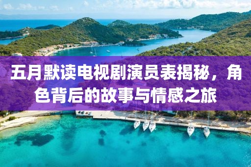 五月默读电视剧演员表揭秘，角色背后的故事与情感之旅