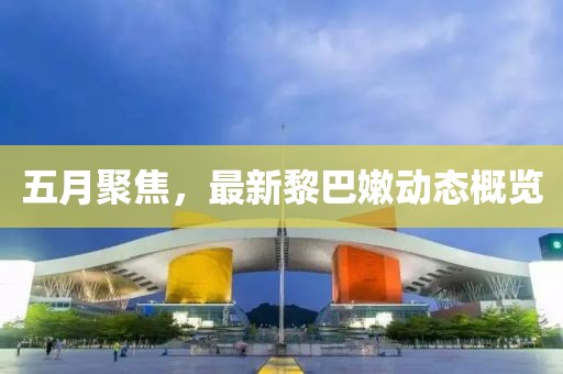 五月聚焦，最新黎巴嫩动态概览