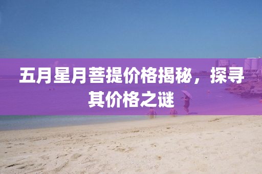 五月星月菩提价格揭秘，探寻其价格之谜