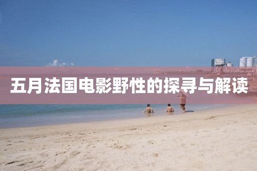五月法国电影野性的探寻与解读