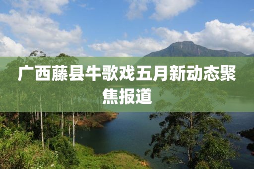 广西藤县牛歌戏五月新动态聚焦报道