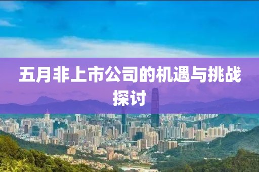 五月非上市公司的机遇与挑战探讨
