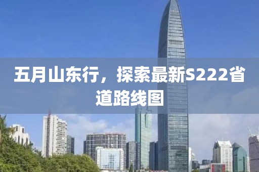 五月山东行，探索最新S222省道路线图