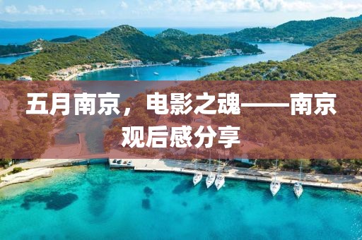 五月南京，电影之魂——南京观后感分享
