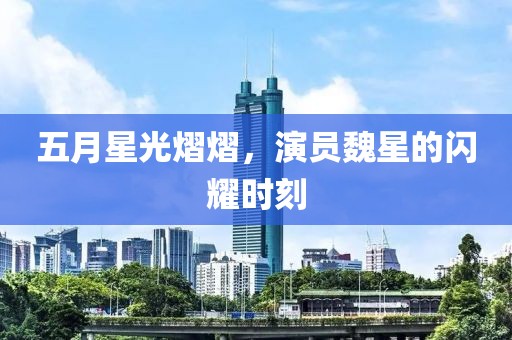 五月星光熠熠，演员魏星的闪耀时刻