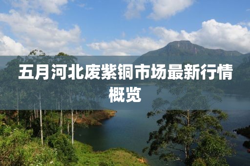 五月河北废紫铜市场最新行情概览