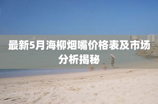 最新5月海柳烟嘴价格表及市场分析揭秘