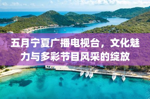 五月宁夏广播电视台，文化魅力与多彩节目风采的绽放