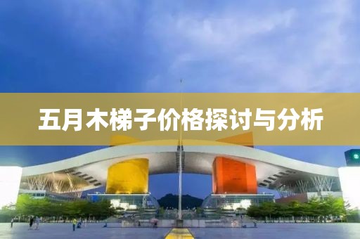五月木梯子价格探讨与分析
