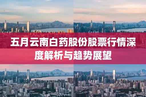 五月云南白药股份股票行情深度解析与趋势展望