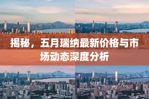揭秘，五月瑞纳最新价格与市场动态深度分析