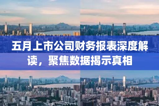 五月上市公司财务报表深度解读，聚焦数据揭示真相