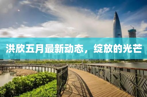 洪欣五月最新动态，绽放的光芒