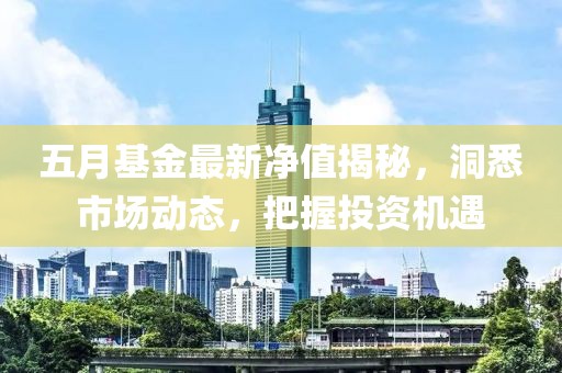 五月基金最新净值揭秘，洞悉市场动态，把握投资机遇