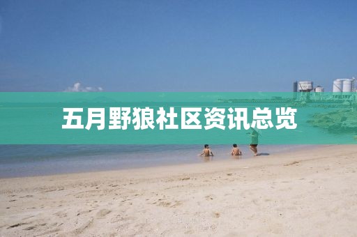 五月野狼社区资讯总览