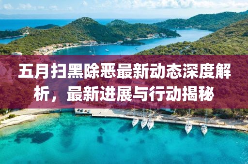 五月扫黑除恶最新动态深度解析，最新进展与行动揭秘