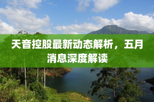 天音控股最新动态解析，五月消息深度解读