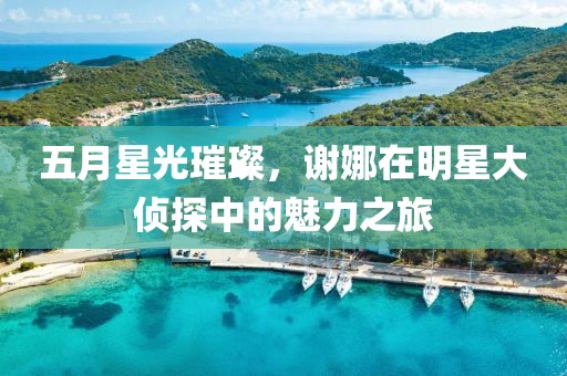 五月星光璀璨，谢娜在明星大侦探中的魅力之旅