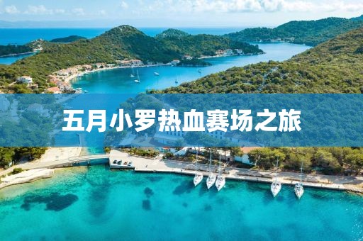 五月小罗热血赛场之旅
