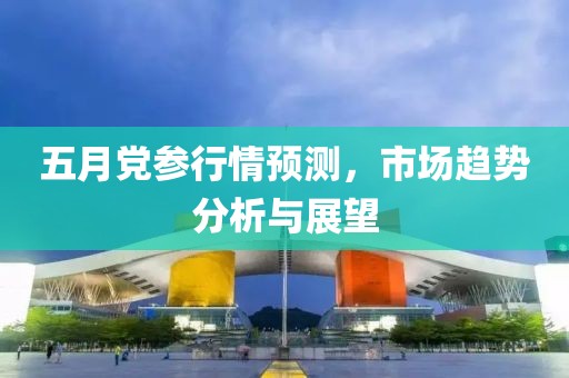 五月党参行情预测，市场趋势分析与展望