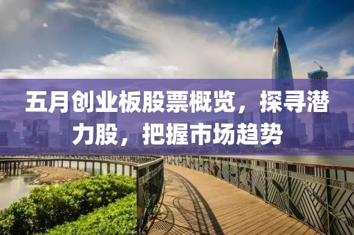 五月创业板股票概览，探寻潜力股，把握市场趋势