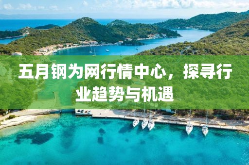五月钢为网行情中心，探寻行业趋势与机遇